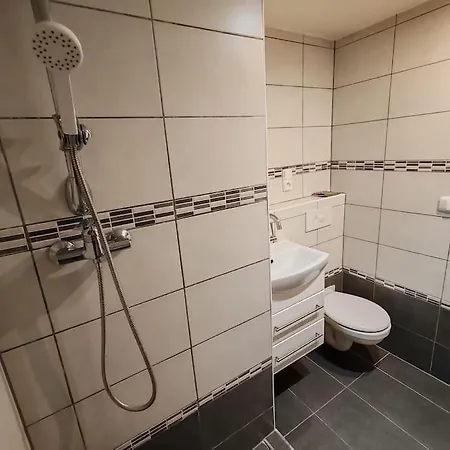 Star Brno With Terrace 2 شقة Komín